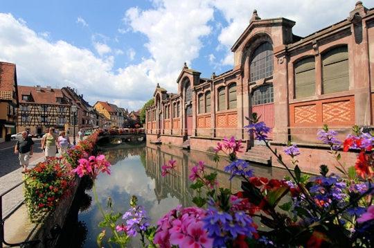 Narcisse Apartment Colmar Bagian luar foto