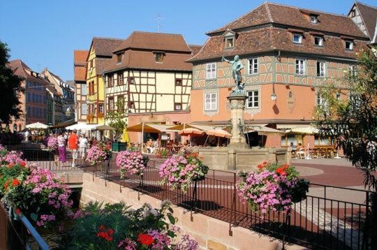 Narcisse Apartment Colmar Bagian luar foto